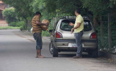 $5.200 millones destinó el Gobierno Nacional para la reconversión sociolaboral de los pimpineros. Alfredo Estévez