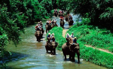 Internet | Referencial