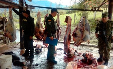 Los uniformados encontraron trozos de reses colgadas en ganchos metálicos y cabezas y cueros de por los menos cuatro vacas en el piso. Policía Nacional