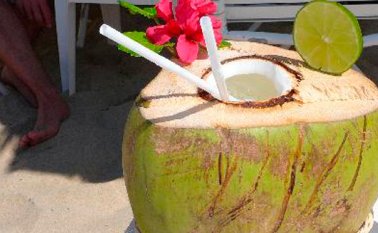 Internet | Referencial