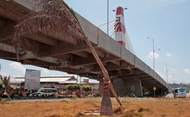 Las plantas que se sembraron en las zonas verdes del recién inaugurado intercambiador de Atalaya se están cayendo a pedazos por la falta de mantenimiento de la Alcaldía. Mario Caicedo
