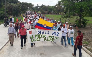 Más de 300 productores se concentran en dos puntos del departamento. Mario Caicedo