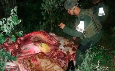 Carne abandonada. Policía Nacional