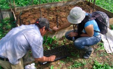 Proyectos productivos y capacitación psicosocial han sido ejecutados en varios municipios de la región, desde la Secretaría de Frontera y Cooperación Internacional del Departamento con entidades asociadas. Archivo
