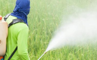 Fumigaciones no controladas. Internet