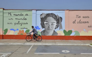 Un metro cuadrado del Muro Vivo equivale a un árbol adulto. Cortesía