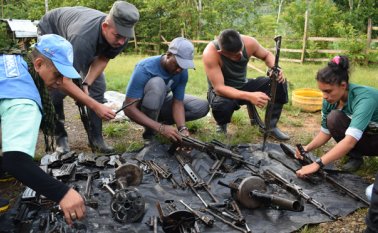 En el proceso colaboraron los 450 observadores. Colprensa