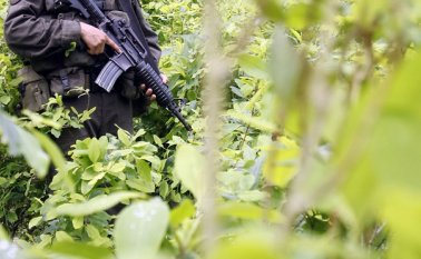 La Alcaldía de Tibú insistió en que es responsabilidad del Gobierno Nacional acelerar el paso y evitar “quedarles mal a las familias campesinas”. Archivo