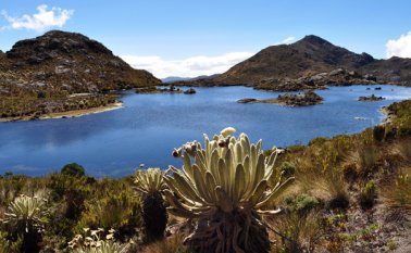 En el páramo Santurbán se origina el agua que abastece a más de 2.200.000 habitantes. La Opinión