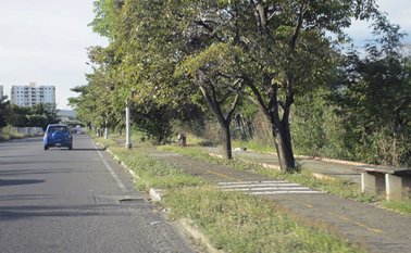 Mejorarán el estado de las ciclorrutas ubicadas en la avenida Los Libertadores y Avenida del Río para promover su uso. Johan Castillo