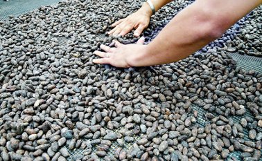 Con la iniciativa se beneficiarían los 40 municipios con apoyos en tres líneas: fortalecimiento institucional, infraestructura y desarrollo económico. Archivo