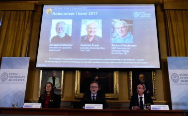 Gracias a estos investigadores, "los científicos pueden ahora producir (...) estructuras tridimensionales de biomoléculas", argumentó el jurado Nobel.
AFP