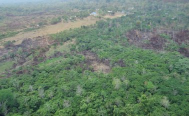 El proyecto pretende recuperar las zonas afectadas por la deforestación. Archivo