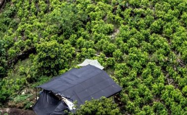 La lectura de una integrante de Coccam, frente a lo sucedido el jueves en Tumaco, es un incumplimiento a lo acordado entre el Gobierno y las Farc en Cuba. Colprensa