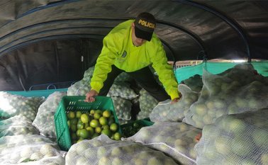 Las autoridades reiteran el llamado a la comunidad para que no apoye el contrabando. Cortesía