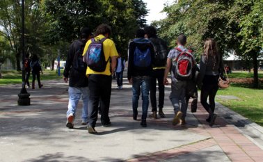 Se espera que a finales de 2017 ya se cuente con la reglamentación del producto. Colprensa