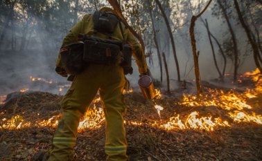 Los bomberos precisaron que cerca de 10.000 de sus efectivos siguen movilizados para apagar trece incendios importantes. AFP