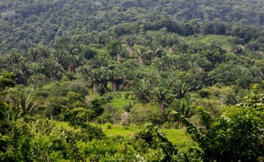 El mayor interés de la comunidad es la protección de Cerro Mono, zona de nacimientos hídricos. Archivo