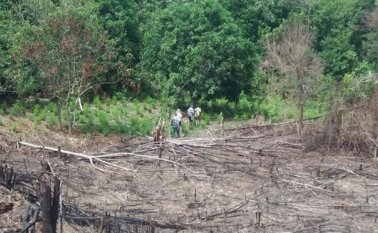 Aunque la sustitución avanza, la equivocada actuación de algunas organizaciones que desinforman a los campesinos afecta el desarrollo de las reuniones. Archivo