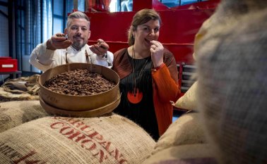 Según la Federación Nacional de Cacaoteros de Colombia, el cacao podría ser igual o mejor que el café colombiano en los mercados internacionales. Archivo