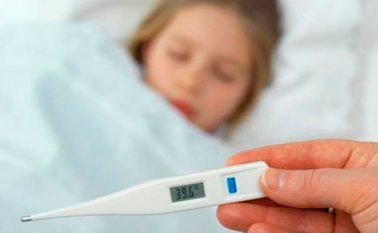 Internet | Referencial