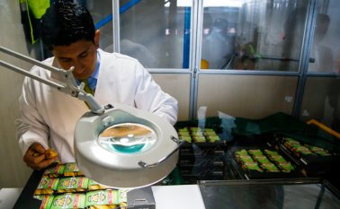 Las ventas al exterior de Colombia están impulsadas por los acuerdos comerciales existentes con otros país y el buen comportamiento del mercado de combustibles y productos de sector de agroalimentos. Archivo