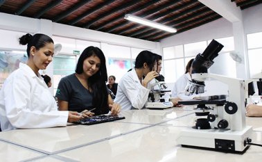 El secretario general de la OEA indicó que que aumentar la inversión tendrá un "impacto directo en nuestras economías en el futuro". Archivo La Opinión