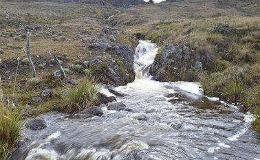 La regional Andes Nororientales de Parques Nacionales, reúne a ocho de las áreas con figura de protección en Colombia. Edinsson Figueroa
