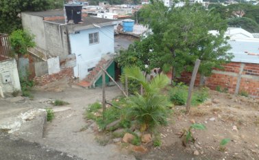 De acuerdo al reporte policial, a las 3:00 de la mañana se escuchó un disparo, siendo reportada la situación al 123 de la Policía. La Opinión