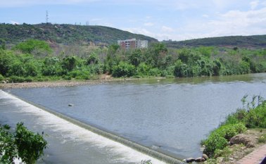 El bosque invasor será retirado del cauce, y aunque esto generará alivio, las autoridades ambientales advierten que la presión urbana tiene ‘encapsulado’ al río. Cortesía
