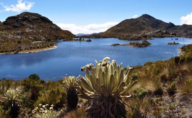Santurbán es el único páramo delimitado en el país y se teme que la explotación minera genere desastrosos efectos ambientales. Archivo