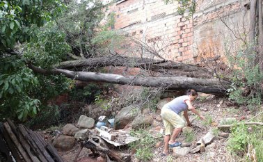 En el barrio circunvalación, dos árboles cayeron y afectaron algunas viviendas del sector. César Obando