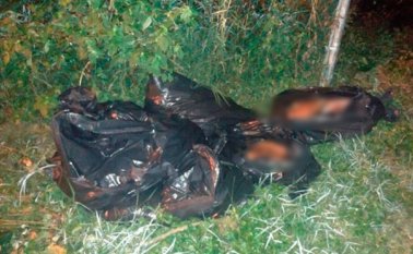 Las bolsas fueron encontradas la noche del domingo en Xalapa, informó la Fiscalía. Plumas Libres