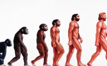 Si bien todas las regiones del cerebro humano contienen firmas moleculares muy similares a las de nuestros parientes primates, algunas registran patrones claramente humanos de actividad genética. Internet | Referencial