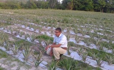 Mañana se cumplen 22 meses de la desaparición del líder, que no pudo seguir acompañando la producción estratégica para sustituir coca. Cortesía