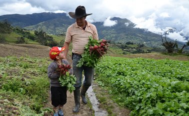 Los analistas advierten que el posconflicto tendrá tres retos fundamentales: frenar la migración, formalización de la tierra y disminuir la vulnerabilidad. Archivo La Opinión