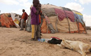 La mayoría de los habitantes del sur de África dependen de una agricultura basada en la lluvia. Internet