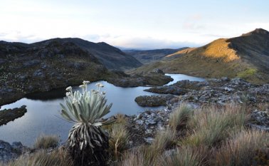 El páramo tiene presencia de siete multinacionales mineras. Archivo