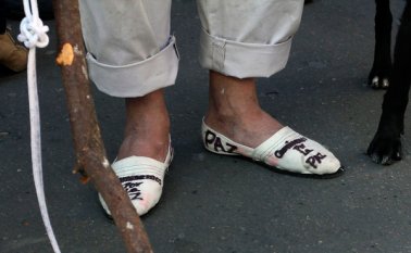 Segundos ocupantes. Colprensa