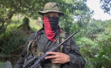 En un comunicado, el Eln dio a conocer sus puntos de vista sobre los sangrientos hechos ocurridos en Magüí Payán (Nariño). Archivo