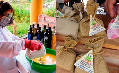 José Gil y su esposa Omaira García Cacique, lideran el proyecto en la finca El Paraíso, ubicada a cuatro kilómetros del casco urbano de Chinácota. Roberto Ospino