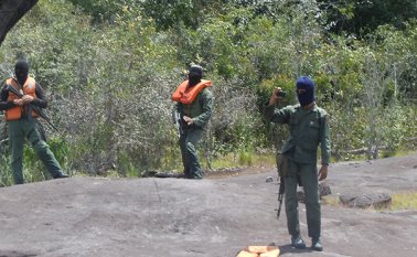 Hasta el momento las autoridades no han confirmado el hecho. Colprensa