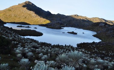 Si bien, para el gobernador Villamizar, la riqueza mineral de un territorio puede generar desarrollo, “debe mantenerse un equilibrio en la protección del ecosistema”. Archivo
