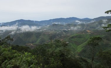 Imagen referencial de la zona del Catatumbo. Archivo La Opinión