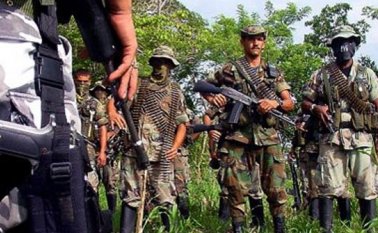 Grupo paramilitar desmovilizado. Colprensa