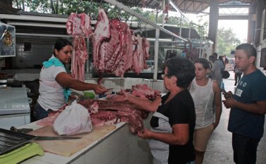 Según la Asociación Colombiana de Porcicultores, en Antioquia el consumo per cápita anual de carne de cerdo es de 22 kilos, mientras que en Norte de Santander y Santander el promedio es de 3 kilos. Mario Caicedo