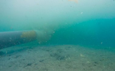 El monitoreo arrojó cambio en el color del agua de la zona. Colprensa