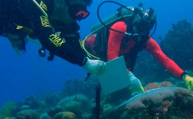 Los investigadores denuncian que la actividad humana está provocando una dramática pérdida de biomasa y biodiversidad y daña su capacidad de recuperación. Archivo