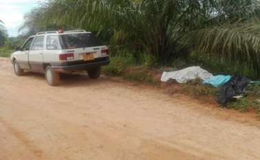 Debajo de una palma hallaron los cadáveres, en la mañana del lunes, cuando algunos habitantes de la zona pasaron por el lugar. Las autoridades investigan el doble asesinato. Cortesía