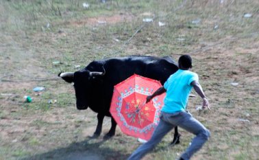 El sujeto herido durante la actividad no portaba identificaciones, informó la Policía. Archivo | Referencial